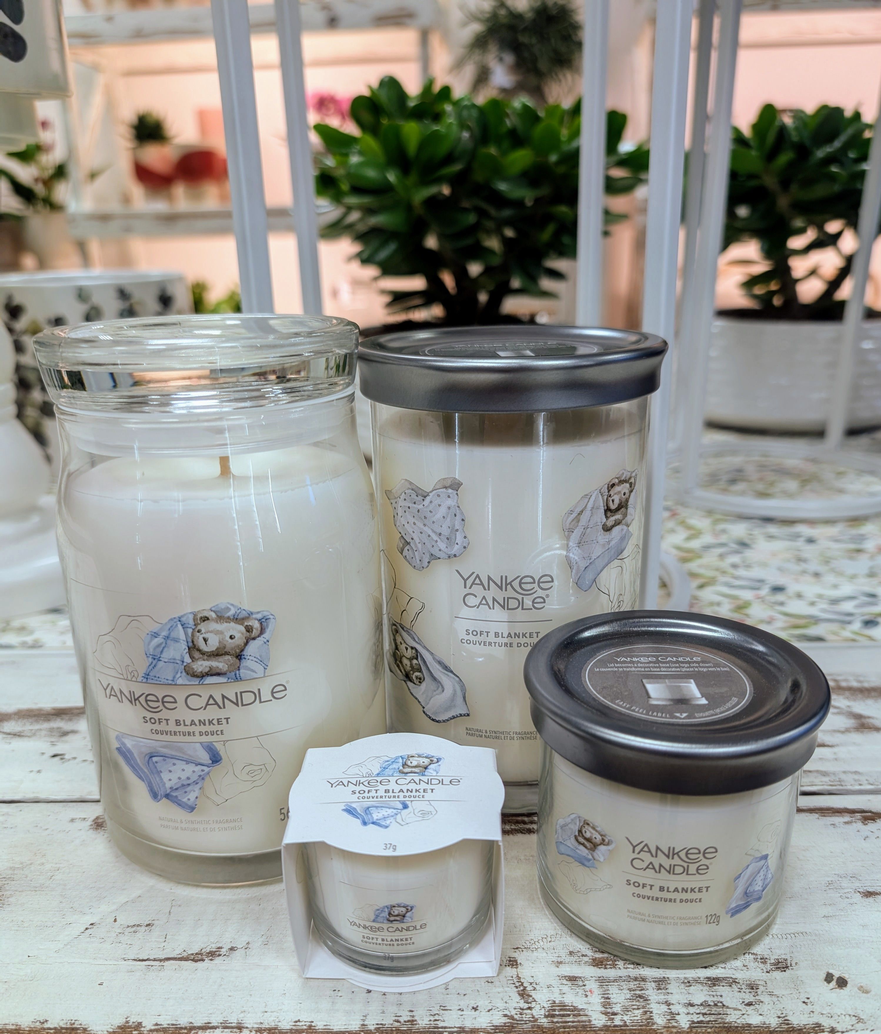 Candele profumate Yankee Candle - Fragranze e accessori
