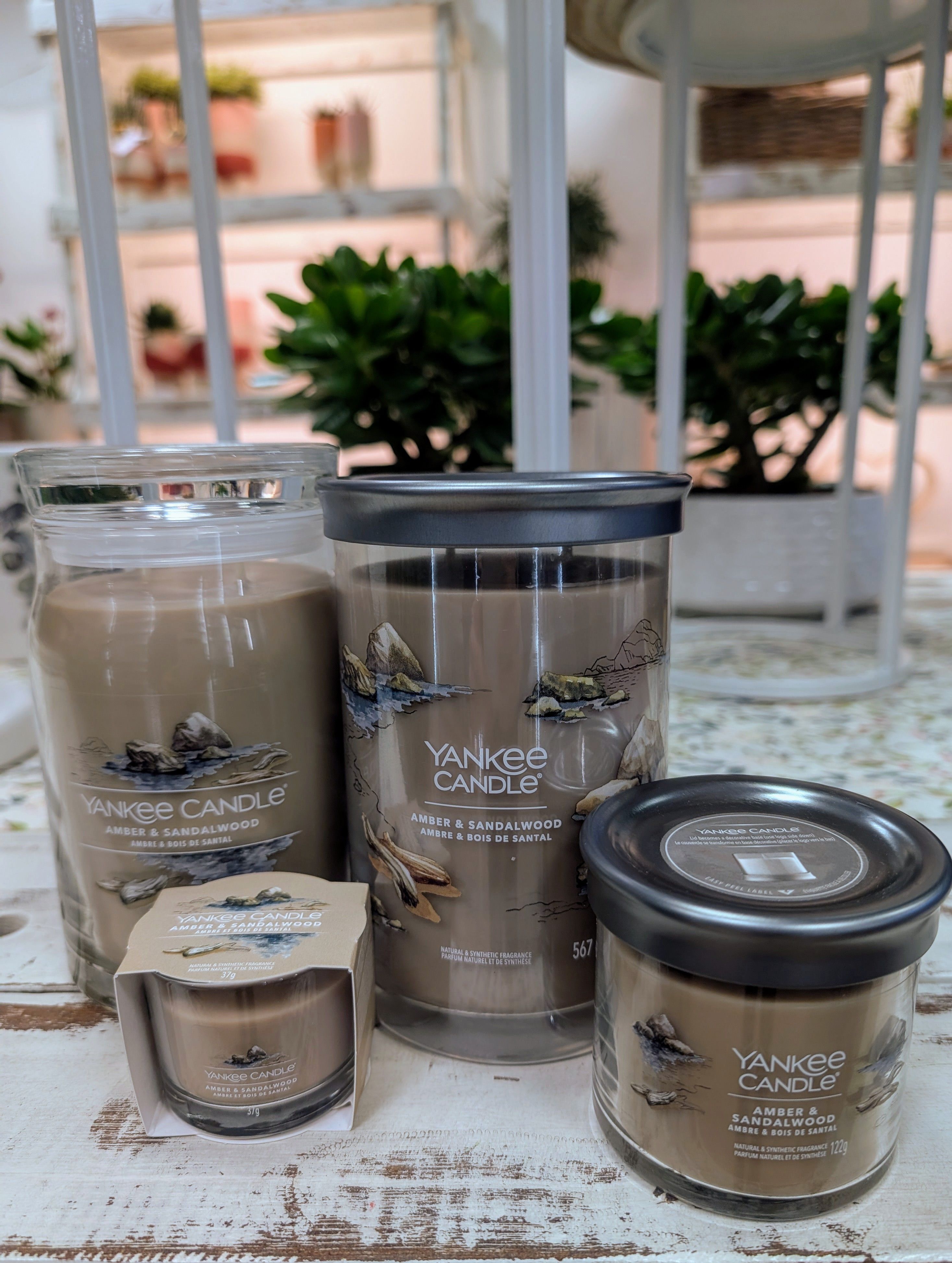 Candele profumate Yankee Candle - Fragranze e accessori