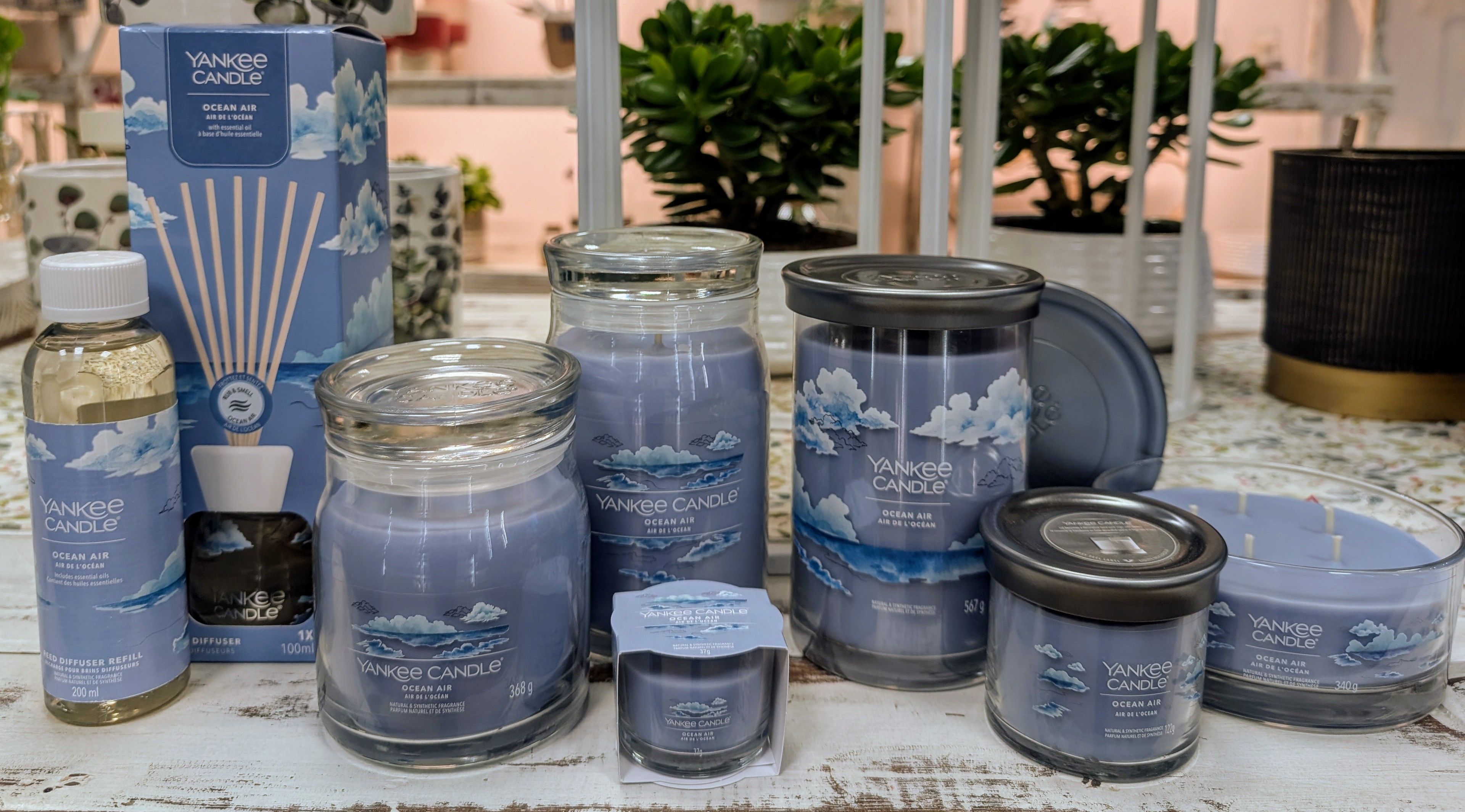 Candele profumate Yankee Candle - Fragranze e accessori